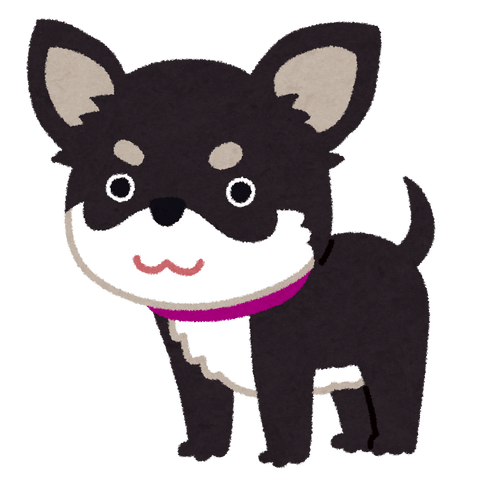 【悲報】上司のチワワを殺したサラリーマン、とんでもない方法で証拠隠滅するｗｗｗｗｗｗｗｗｗｗｗｗｗｗｗ