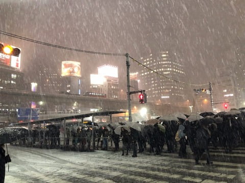【画像】　大雪の渋谷駅がヤバイｗⅴｗⅴｗⅴｗⅴｗⅴｗⅴｗⅴｗⅴｗⅴｗⅴｗⅴ