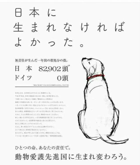 【画像】犬「日本に生まれなければ良かった」 動物愛護者が作った広告が物議