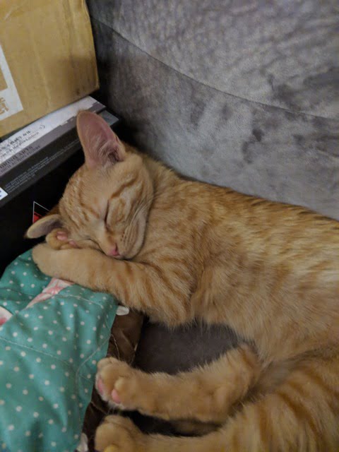 【124枚】 思わず吹いたｽﾚ・画像・AA・HP・FLASH等 その145 part1