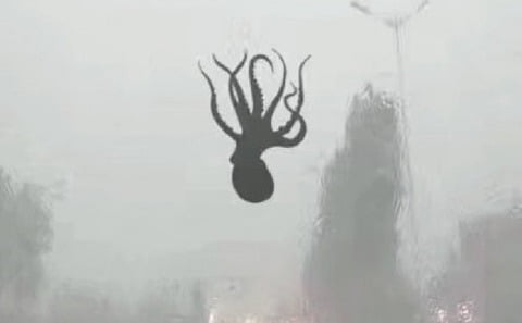 【速報】　中国の豪雨がヤバい。空からタコやエビなど海鮮が降る事案が発生 （※画像あり）