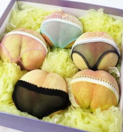 この画像で興奮出来るやつｗｗｗｗｗ